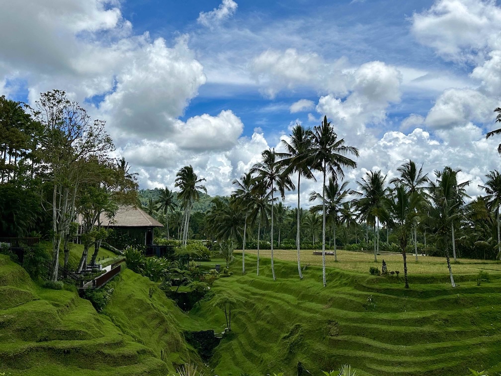 bali rice terraces