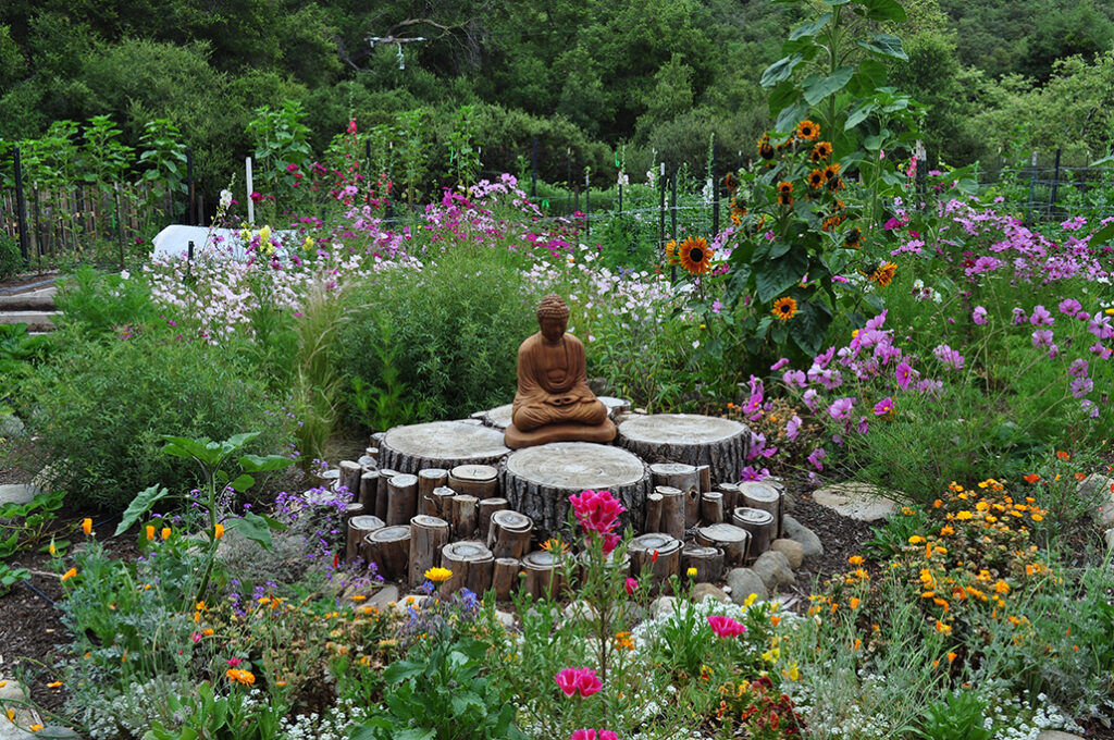 a zen garden with a budda statue on rocks in the middle 