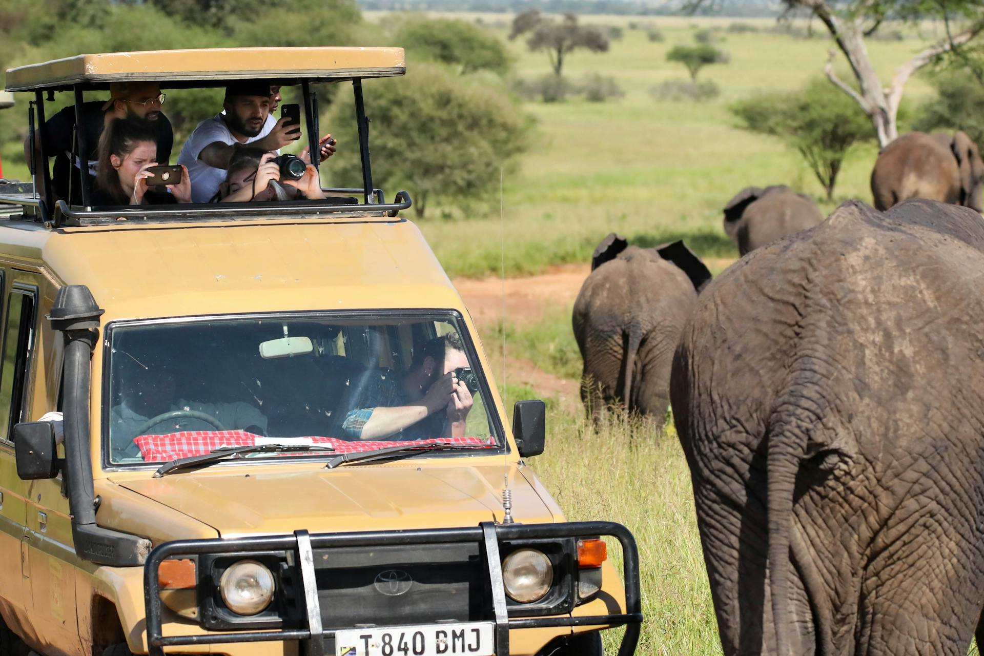 black and brown jeep wrangler parked next to an elephant full of people taking pictures