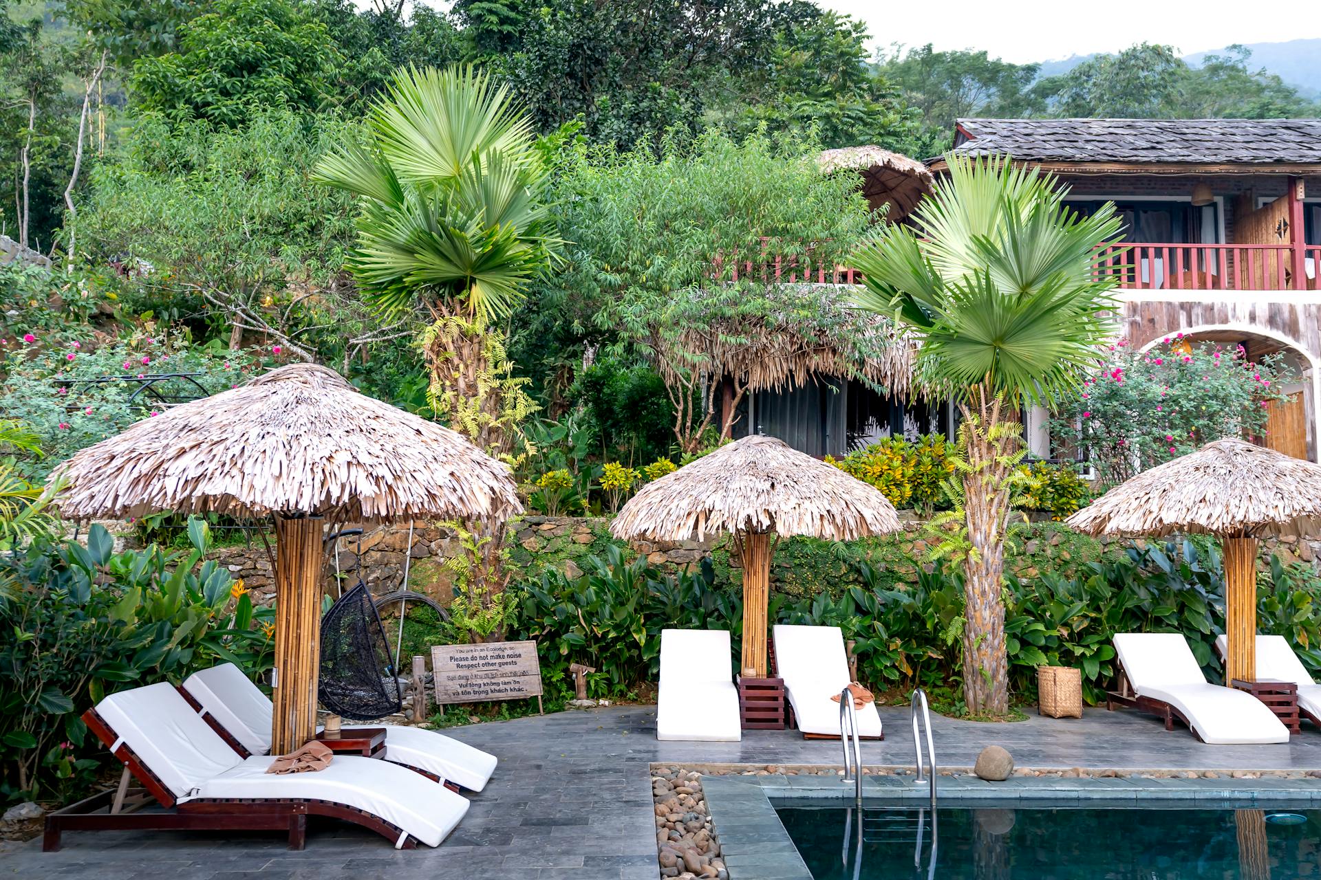 deckchairs placed on poolside in tropical resort