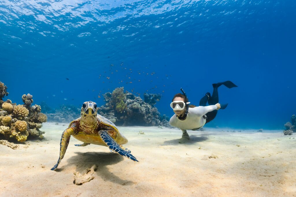 scuba diving with turtle