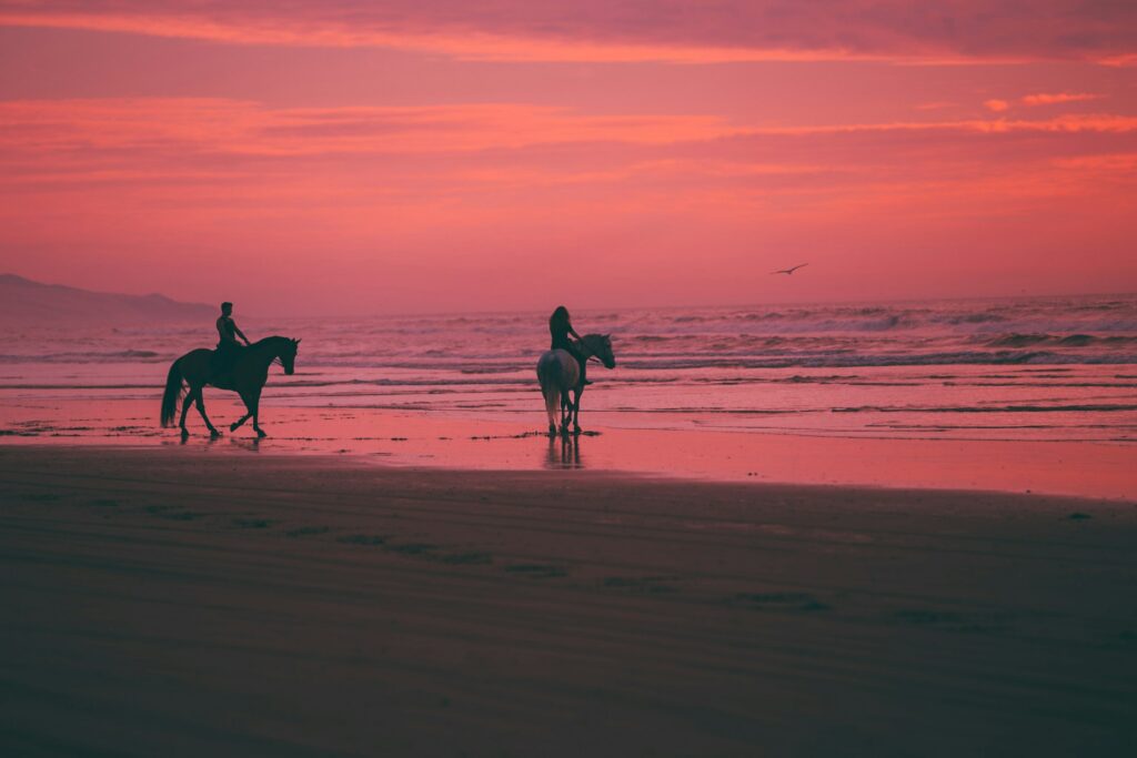 two people horseback riding on the beach during sunset