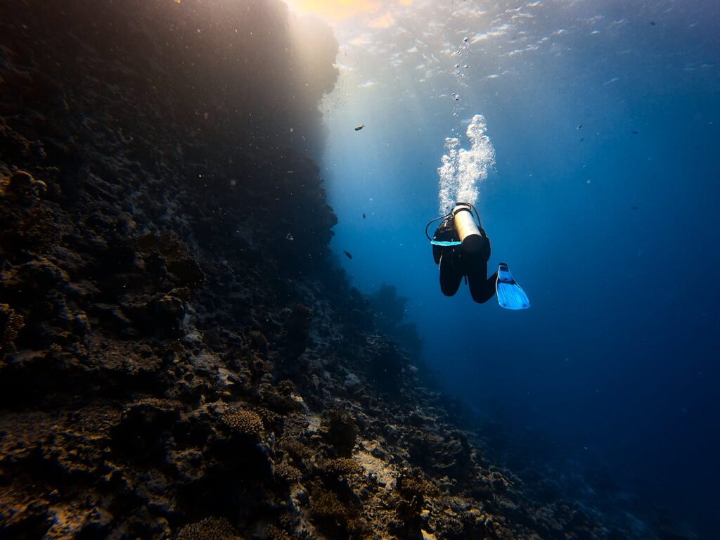 person scuba diving