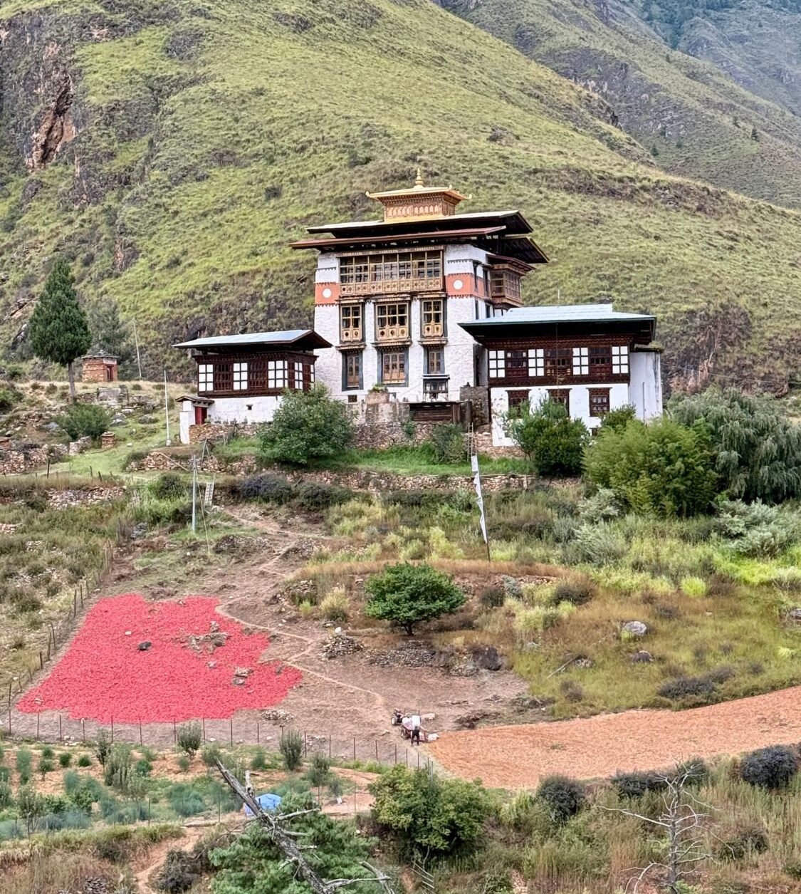 A Bhutanese farmhouse on a green hillside with red chilies spread out to dry on the slope below